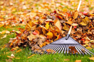 A large pile of autumn leaves with a rake, ready for yard cleanout by Tj's junk removal LLC in Derry, NH.