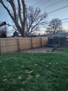 A pile of branches and debris in a backyard, indicating recent tree or bush cleanup by DelaRosa Tree Service LLC in Denver, CO.