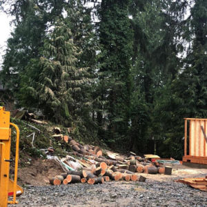 A large pile of cut logs and branches on a job site after tree removal by El negociante in Everett, WA