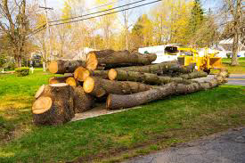 A large pile of cut logs and tree stumps on a lawn with a wood chipper in the background from Mazzola Lawn and Tree in Parma, OH.