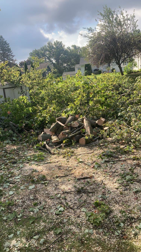 A pile of freshly cut logs and branches, with wood chips scattered, from a tree service job by Alex's Tree Solutions in Erie, PA.