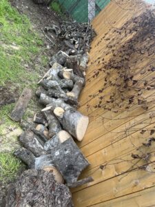 A pile of freshly cut logs and branches, showing cleanup after tree service work by Handyman 210 Tree Service in San Antonio, TX.