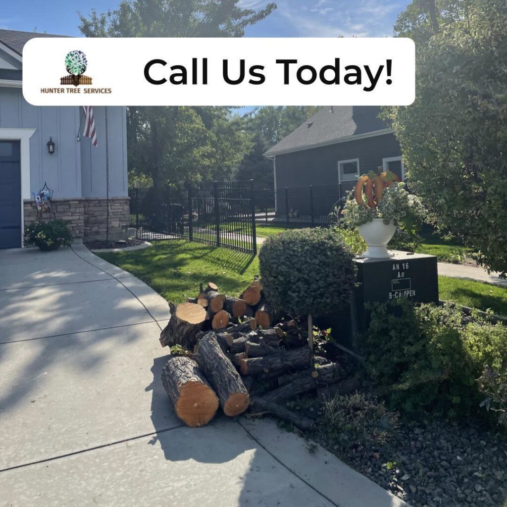 A pile of freshly cut logs and branches from a tree removal service by Hunter Tree Services in Nampa, ID.