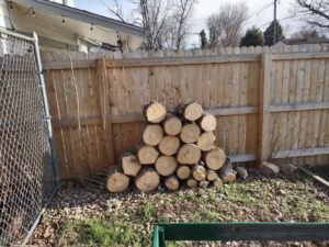 A pile of freshly cut logs, likely for firewood, from tree removal by DelaRosa Tree Service LLC in Denver, CO.