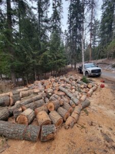 A large pile of freshly cut logs stacked by the roadside, indicating tree removal by Flathead Tree Services in Kalispell, MT