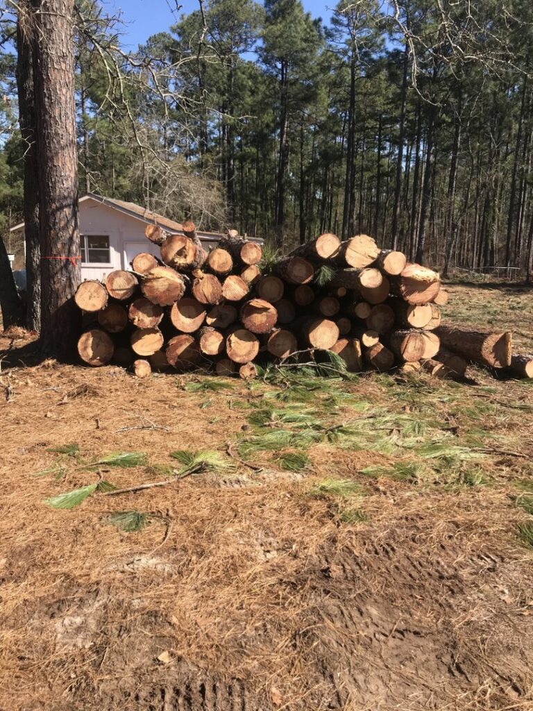 A large pile of freshly cut logs in a wooded area after tree removal by 706 Tree and Stump in Augusta, GA.
