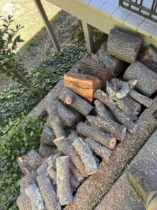 A pile of freshly cut logs and wood chips from a tree service job by Jarquin Tree Service, LLC in San Jose, CA.