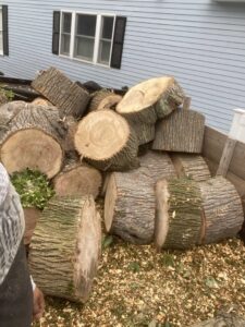 A large pile of freshly cut tree logs and wood chips after a tree removal service by NN Landscaping, Construction & Tree Service in Lynn, MA.