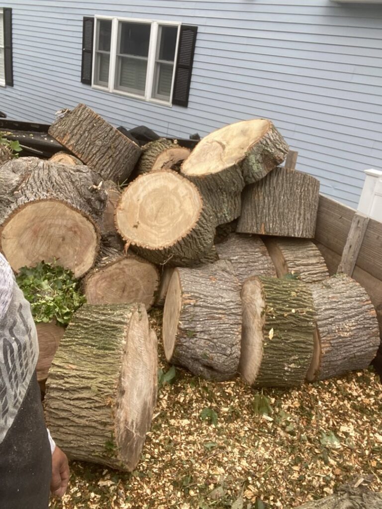 A large pile of freshly cut tree logs and wood chips after a tree removal service by NN Landscaping, Construction & Tree Service in Lynn, MA.