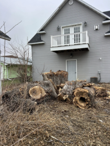 A large pile of cut tree logs and branches after removal by Kahlo's Tree Service in Stanton, NE.