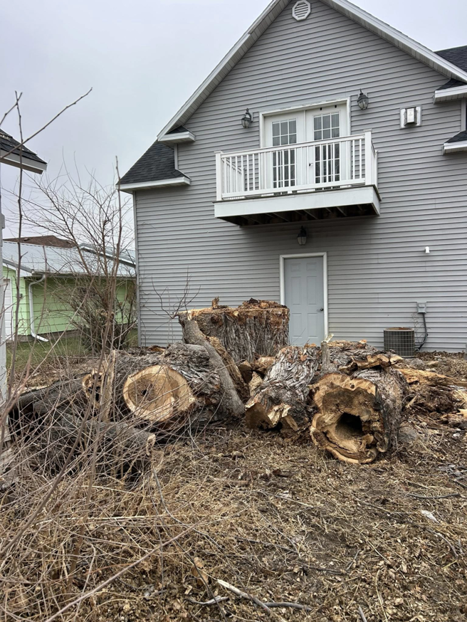 A large pile of cut tree logs and branches after removal by Kahlo's Tree Service in Stanton, NE.