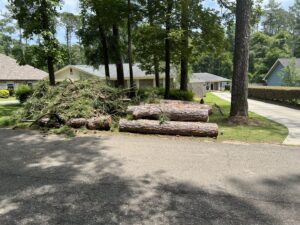 A large pile of cut tree trunks and branches ready for removal by Miller's Tree Service in Tallahassee, FL.
