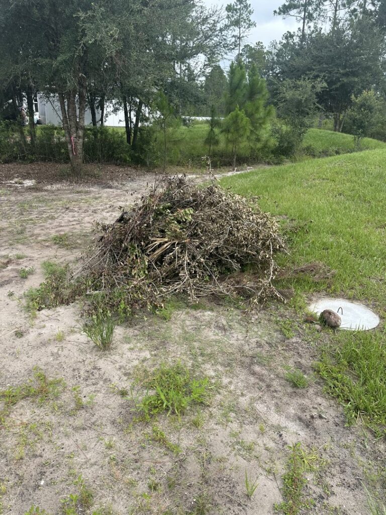 A pile of dried brush and branches in a grassy area, ready for removal by DUMP 4 U Hauling in Jacksonville, FL.