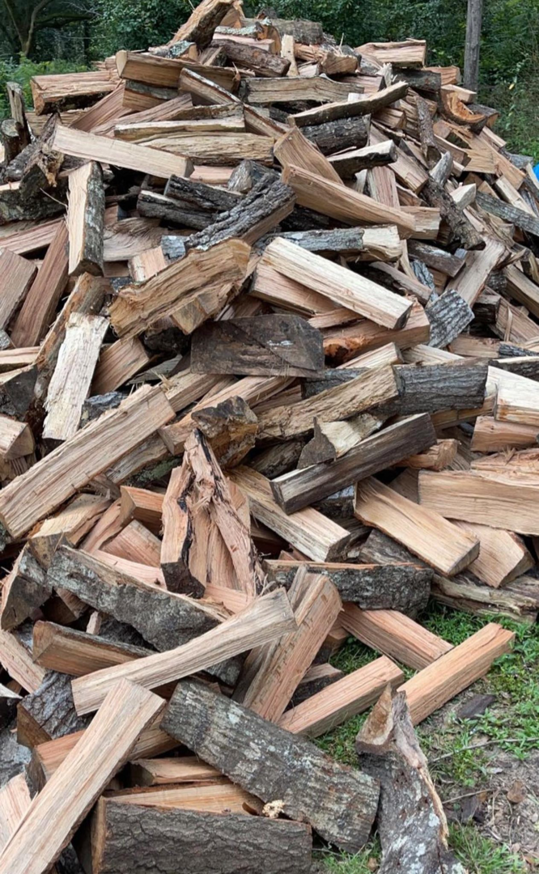 A large pile of freshly cut logs and wood pieces from tree services by Hansen Tree Service in Abington, MA.