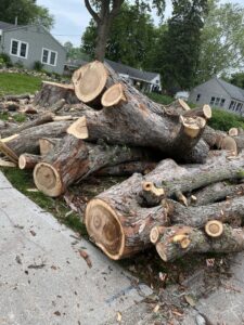 A large pile of freshly cut tree logs and branches on the side of a road from Southern Accent Tree Service in West Des Moines, IA.