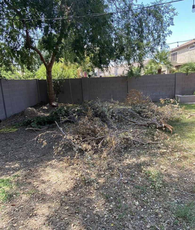A large pile of cut tree branches and debris in a backyard after trimming services by EverBloom Landscape in Phoenix, AZ.