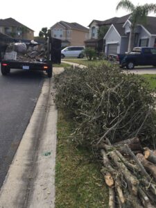 A large pile of tree branches and logs on a residential street, ready for removal by Pro Dumpsters & Junk Removal in Orlando, FL.