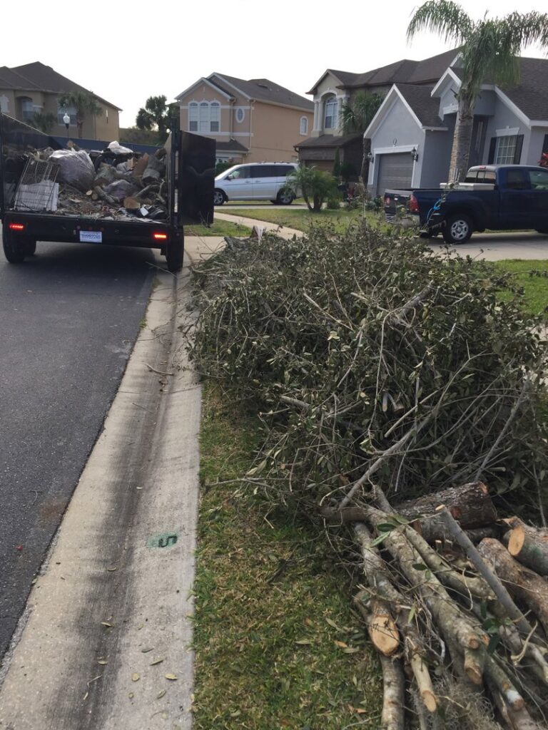 A large pile of tree branches and logs on a residential street, ready for removal by Pro Dumpsters & Junk Removal in Orlando, FL.