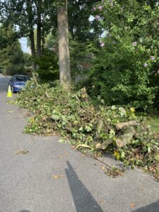 A large pile of tree branches and logs on the roadside for yard waste removal by Navarro Demo LLC in Rockville, MD