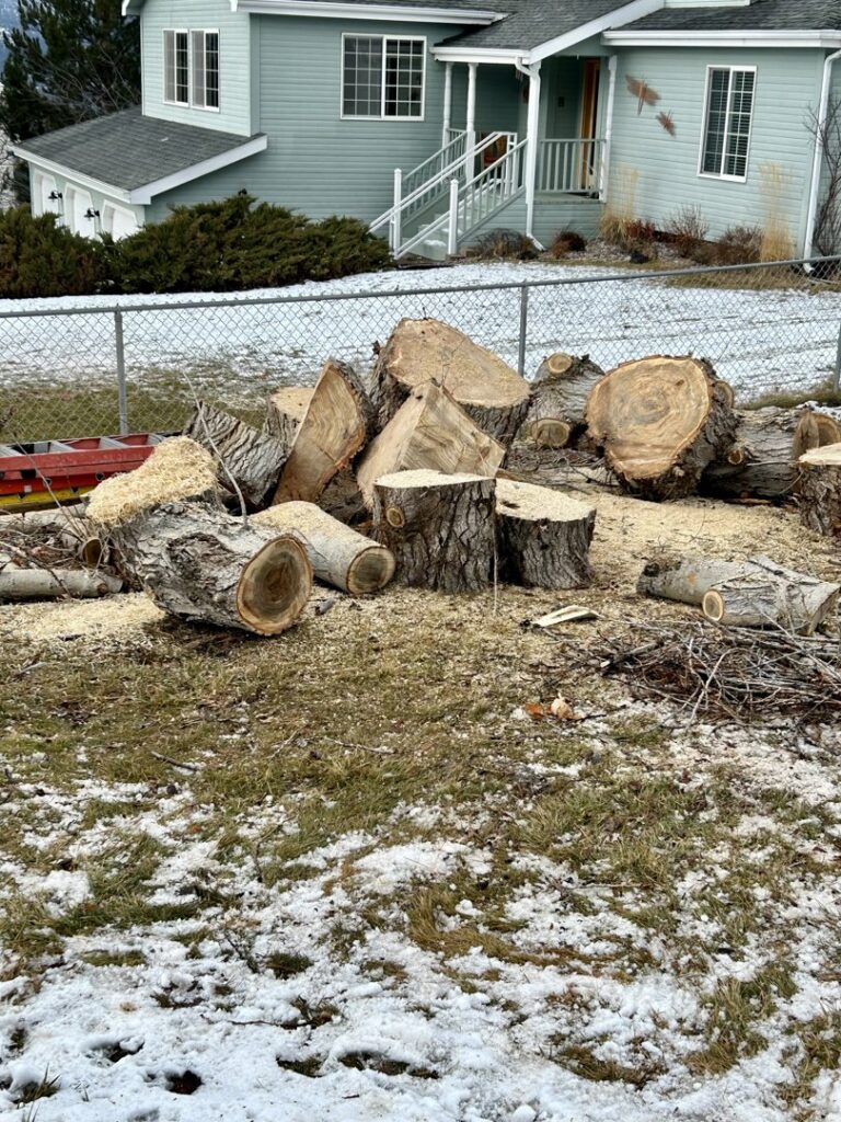 A pile of tree stumps and logs on snowy ground after a tree removal job by PJ's Tree Service in Missoula, MT.