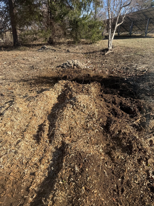 A large pile of wood chips and disturbed earth, indicating recent stump grinding by Farm Services in Scottown, OH.