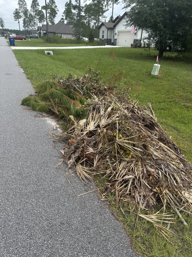 A pile of yard waste, including branches and leaves, ready for removal by DUMP 4 U Hauling in Jacksonville, FL.