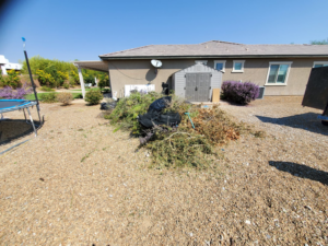 A large pile of yard waste and debris in a residential backyard, ready for pickup by V.S.C Junk Removal Services in Las Vegas, NV.