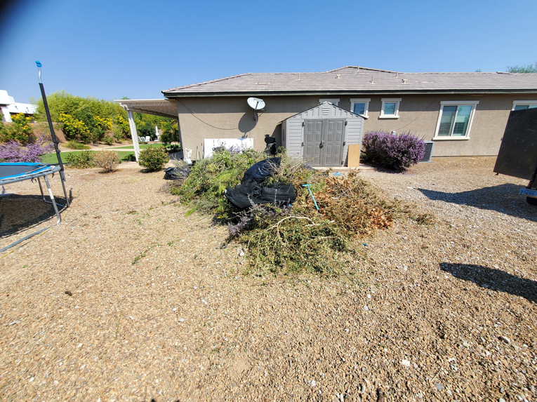 A large pile of yard waste and debris in a residential backyard, ready for pickup by V.S.C Junk Removal Services in Las Vegas, NV.