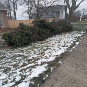 A pile of tree branches and yard waste on a snowy lawn for removal by 5 Star Junk Removal, LLC in Elyria, OH