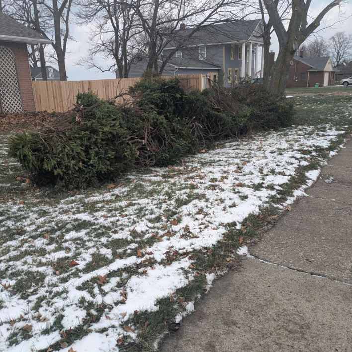 A pile of tree branches and yard waste on a snowy lawn for removal by 5 Star Junk Removal, LLC in Elyria, OH