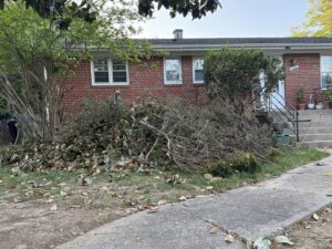 A large pile of tree debris and branches in a residential yard by Green Woods Sawmill & Tree service in Bowie, MD.