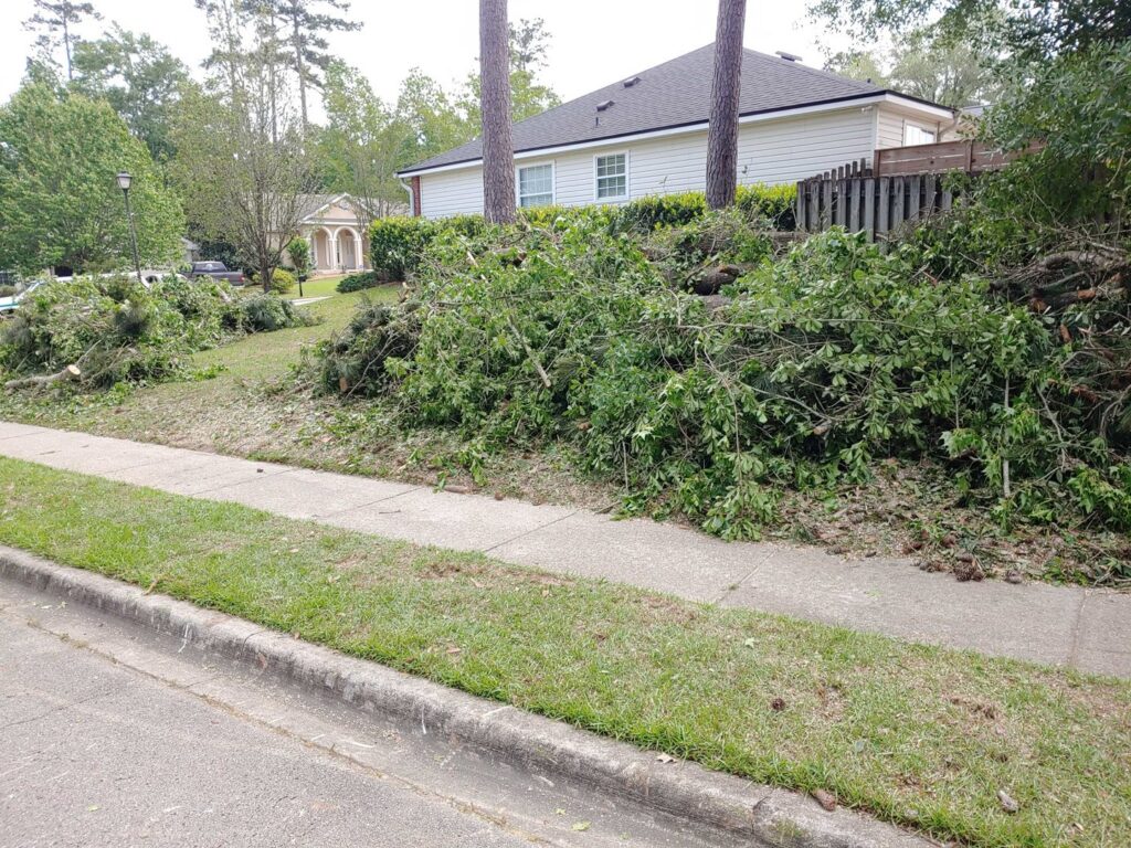 A large pile of tree debris and cut branches on a roadside, indicating recent tree service work by Abbott Tree removal in Tallahassee, FL.