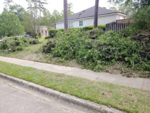 A large pile of tree debris and cut branches on a roadside, indicating recent tree service work by Abbott Tree removal in Tallahassee, FL.