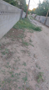 Piles of cut weeds and debris along a wall after yard clearing by Handyman services inside or out in Carlsbad, NM.