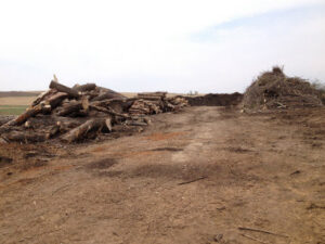Piles of logs and brush branches ready for processing at Wood Recycling Site / Brush Dump in Rochester, MN