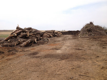 Piles of logs and brush branches ready for processing at Wood Recycling Site / Brush Dump in Rochester, MN