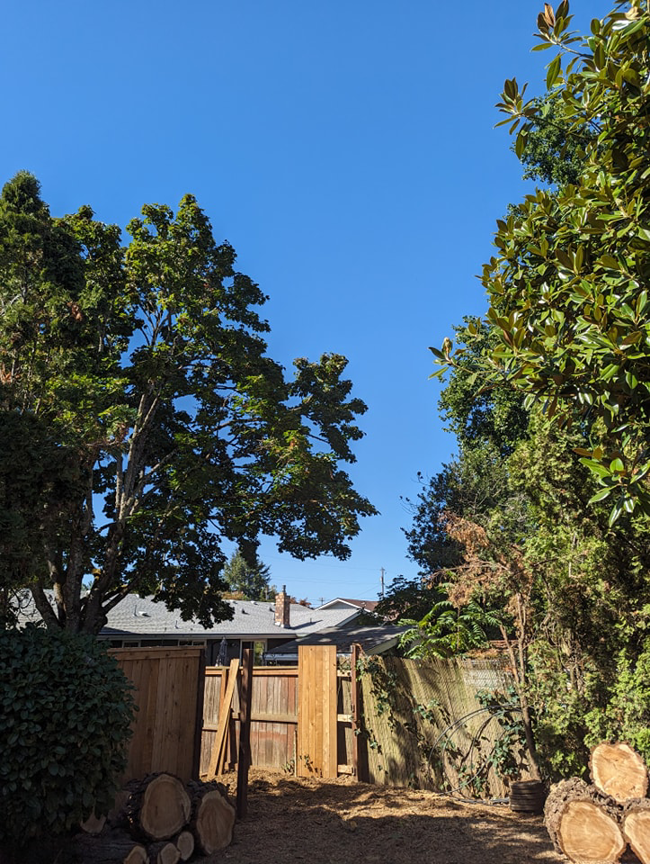 Piles of freshly cut logs in a residential yard after a tree service cleanup by Yost Tree Service in Salem, OR.