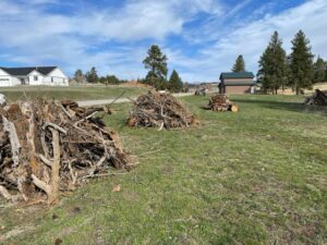 Piles of tree roots and branches in a grassy field, ready for yard waste removal by Junk Hunks 406 in Missoula, MT.