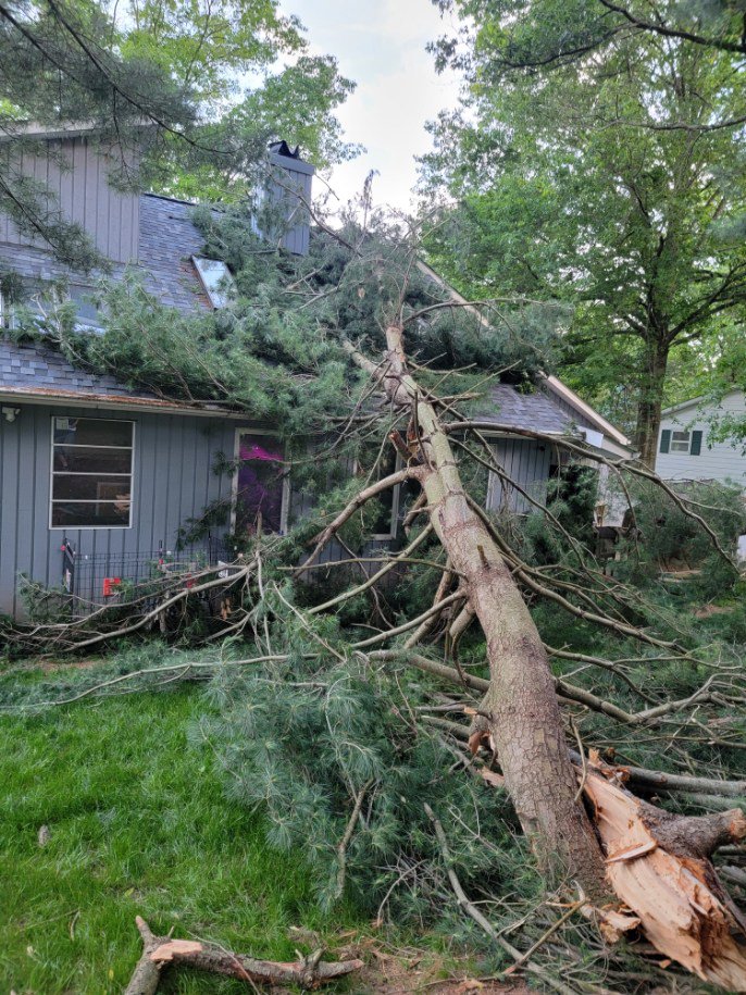 A large pine tree has fallen onto a house, requiring emergency tree removal from Timber Taskforce Tree Service in York, PA.