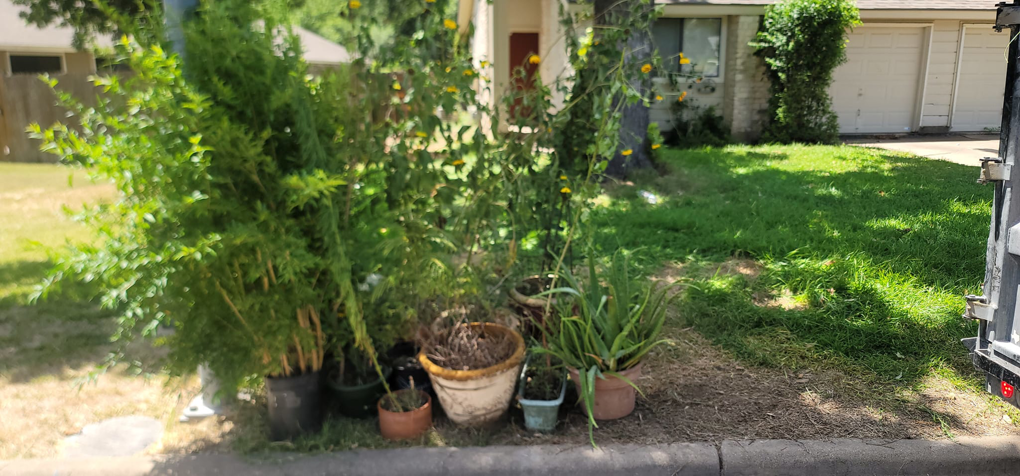 Potted plants and yard debris placed curbside for removal by Smiley's Junk Removal & Recycling, LLC in Austin, TX.
