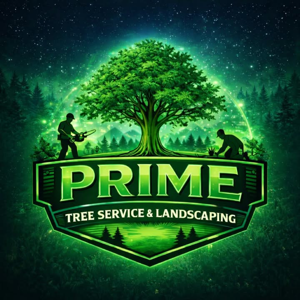 Prime3 service & Mejia Brothers Llc