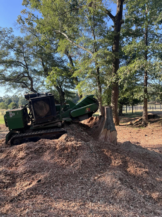 A professional stump grinding machine actively working on a large tree stump, providing tree service by Manley's Stump Grinding in Opelika, AL.