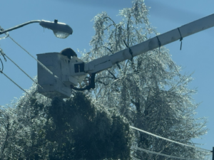 A professional from Toten Tree Service performing tree trimming after an ice storm in Greenville, MS.