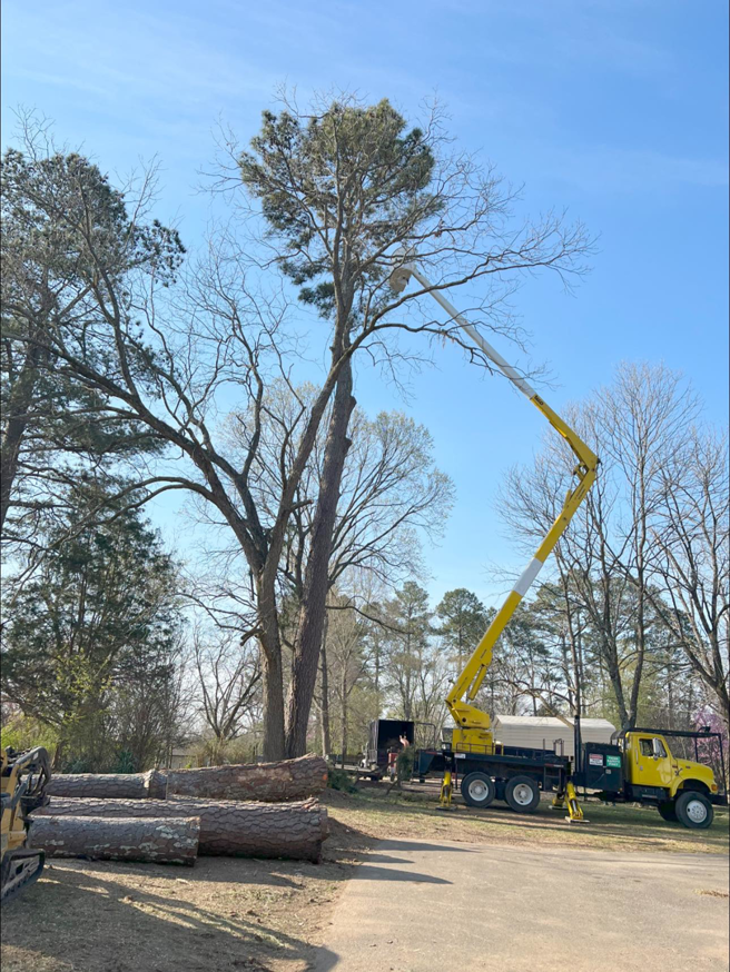 A professional tree trimming job in progress using a bucket truck by G&H Tree Service in Jackson, TN, with logs on the ground.