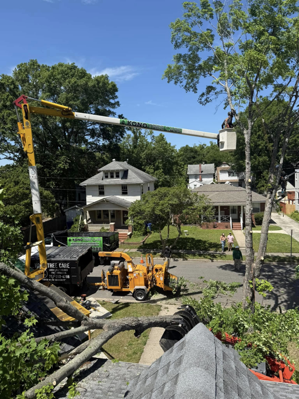 A Kono Tree Care arborist in a bucket truck performing professional tree trimming in Virginia Beach, VA.