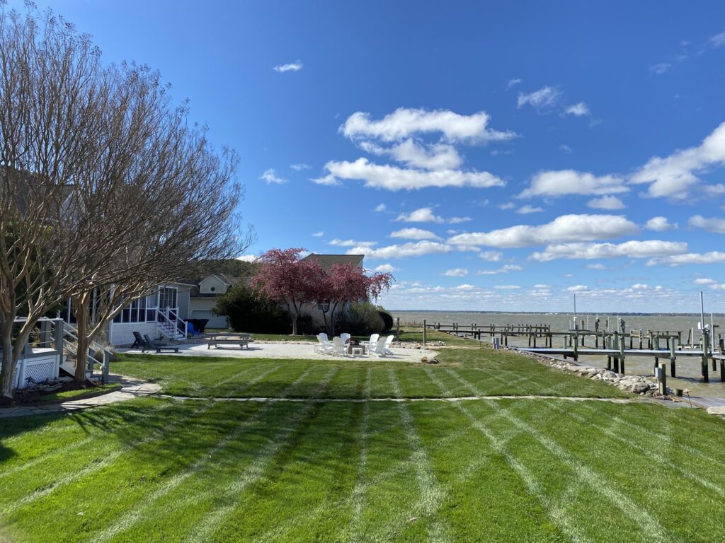 A professionally mowed lawn with distinct stripes, showcasing expert yard maintenance by Precision Services in Elkridge, MD.