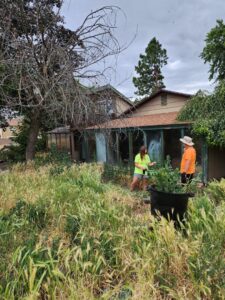 Two individuals discussing property cleanup in an overgrown yard, representing services by Battleship Property Maintenance in Lewiston, ID.