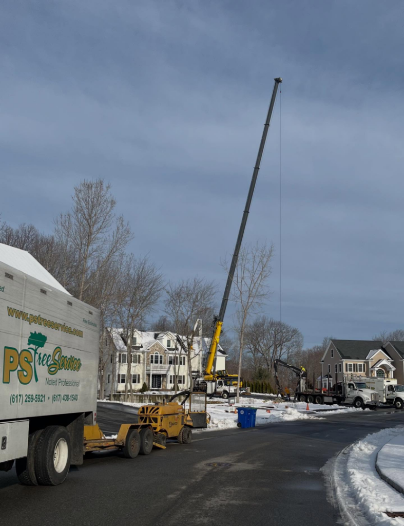 PS Tree Service crane truck and equipment on a snowy street during a tree service job in Holbrook, MA.