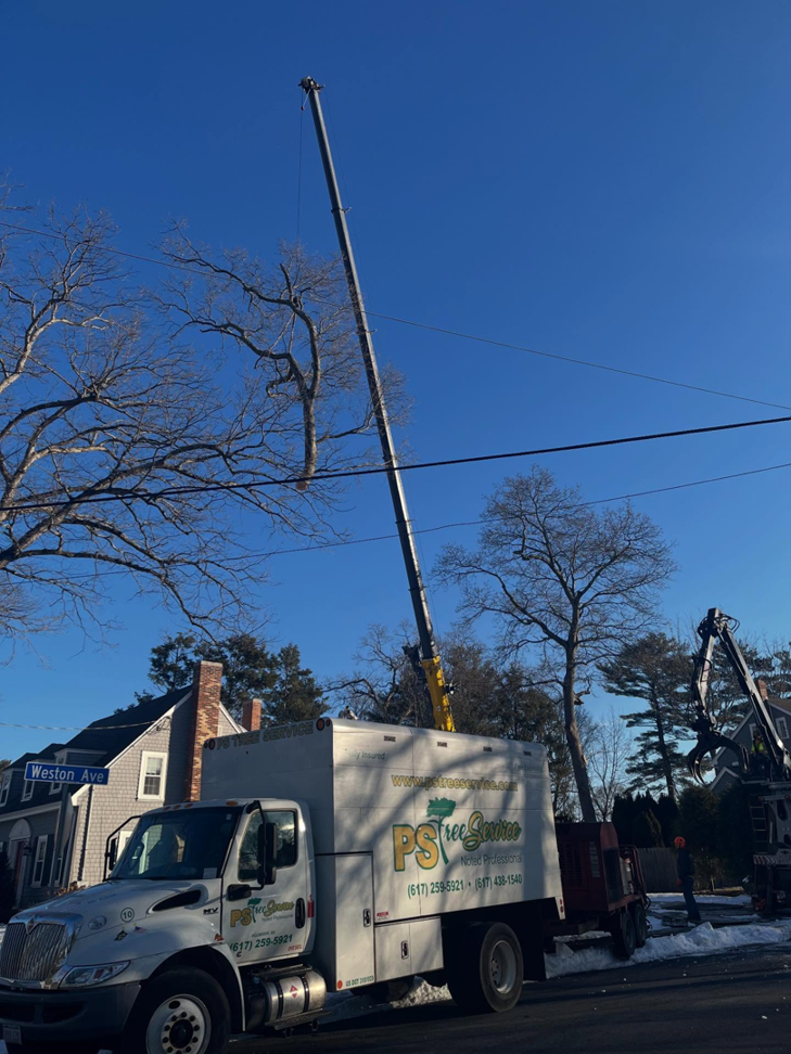 PS Tree Service truck with an extended crane boom at a tree removal site in Holbrook, MA.