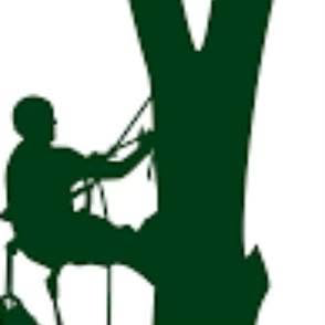 Quicken Tree service